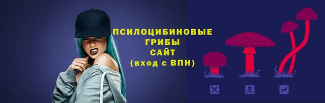 героин Алексин