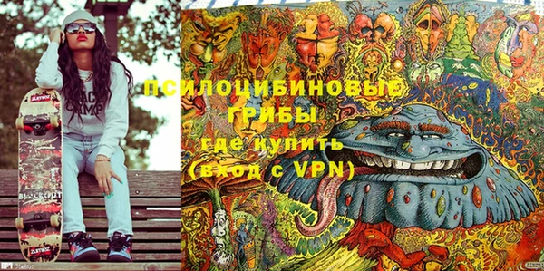 стафф Алзамай