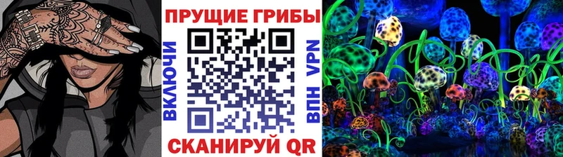 Псилоцибиновые грибы Psilocybine cubensis наркота Шуя