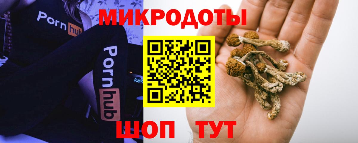 Псилоцибиновые грибы прущие грибы  Галлюциногенные грибы Cubensis  цена   Шуя  Вход с VPN 