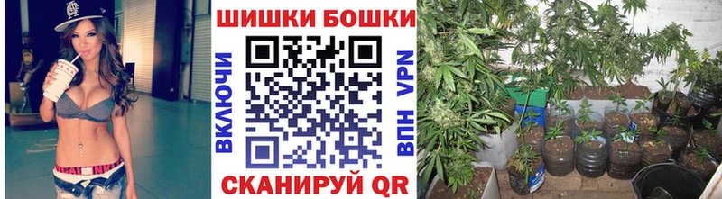 Каннабис SATIVA & INDICA  Шуя 